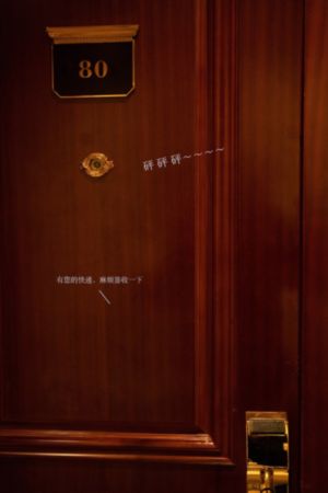 完美伴侣电视剧
